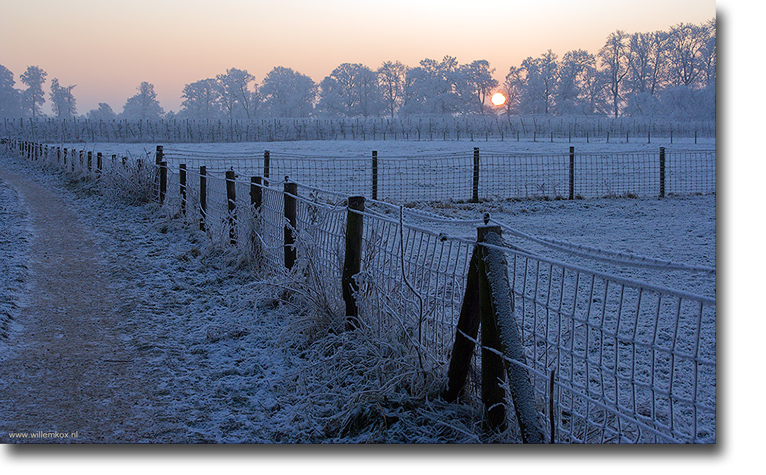 1. Winter /Willem Kox