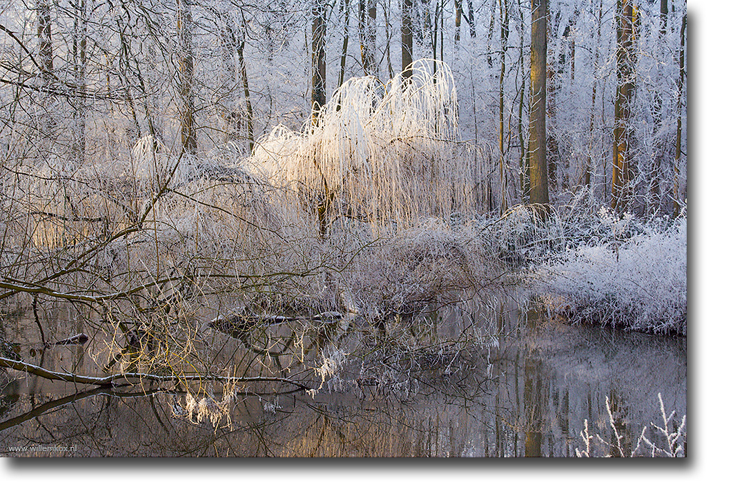 4. Winter /Willem Kox
