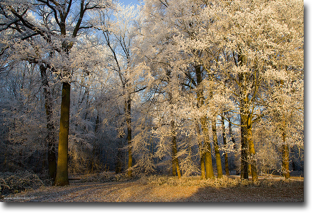 5. Winter /Willem Kox