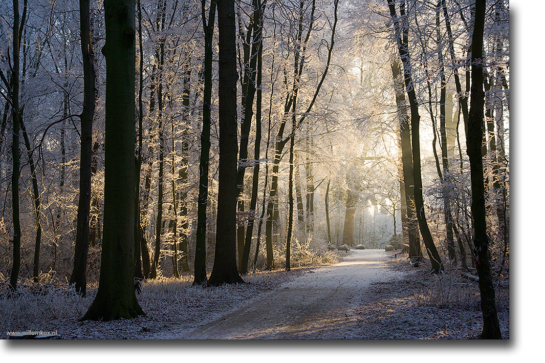 6. Winter /Willem Kox