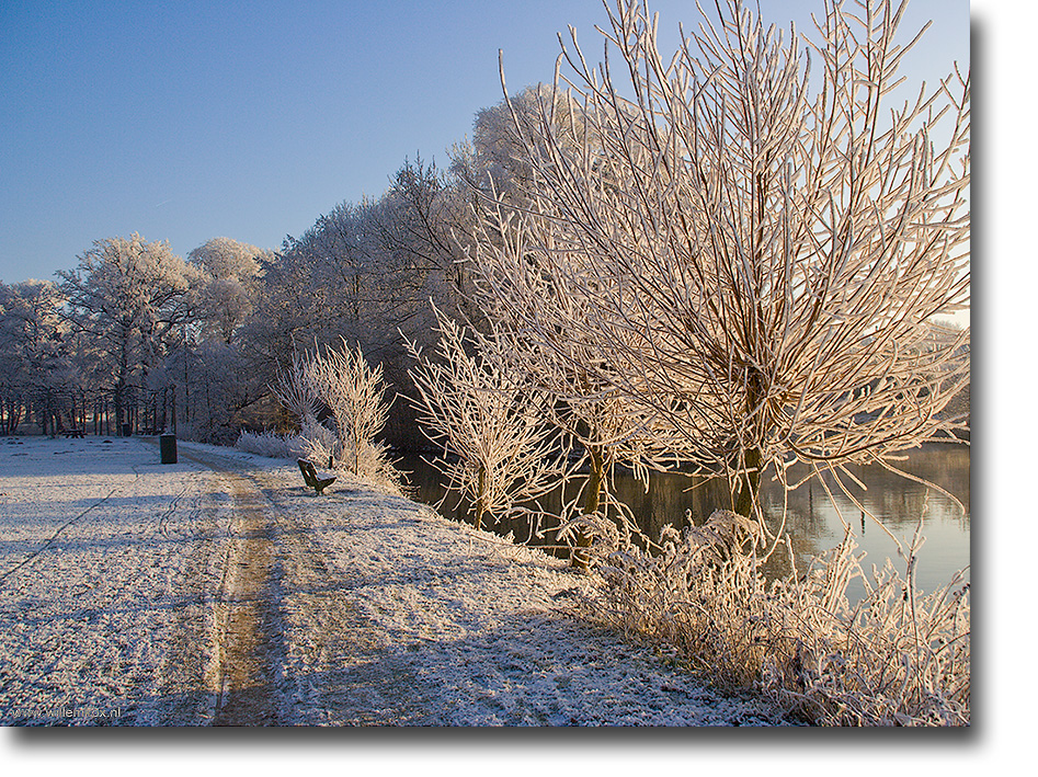 7. Winter /Willem Kox