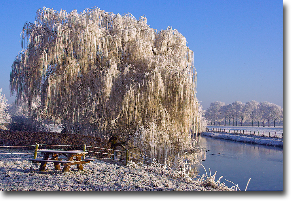 10. Winter /Willem Kox
