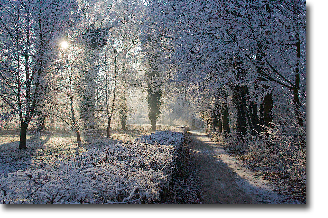 12. Winter /Willem Kox