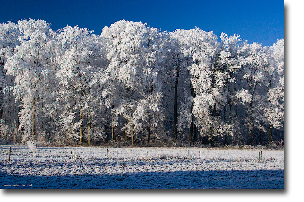 13. Winter /Willem Kox