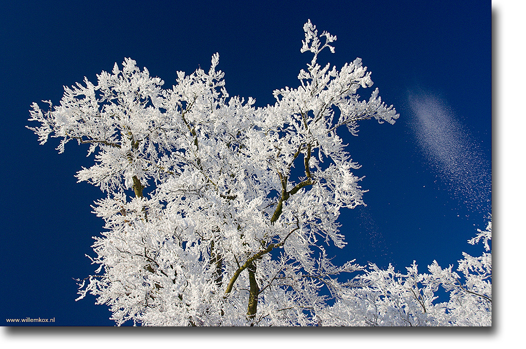 14. Winter /Willem Kox