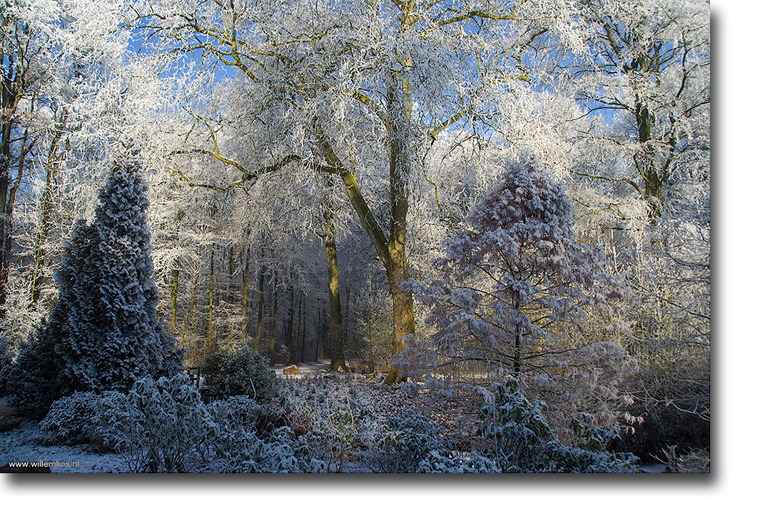 15. Winter /Willem Kox