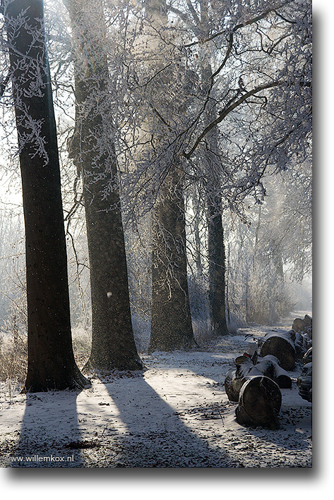 16. Winter /Willem Kox