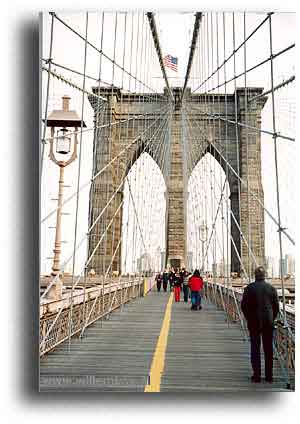 14. New York - Brooklyn bridge /Willem Kox