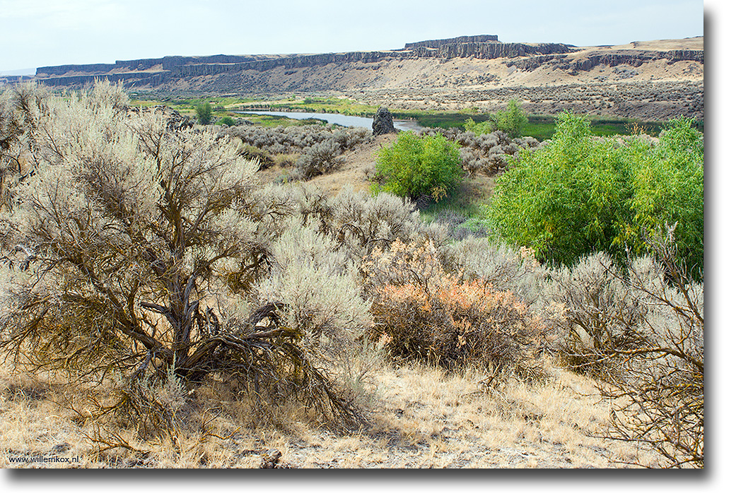 13. VS - Noord-West; Columbia National Wildlife Refuge /Willem Kox
