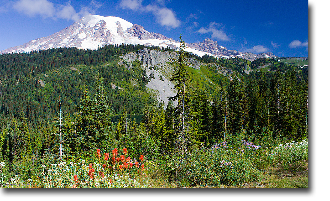 20. VS - Noord-West; Mount Rainier /Willem Kox