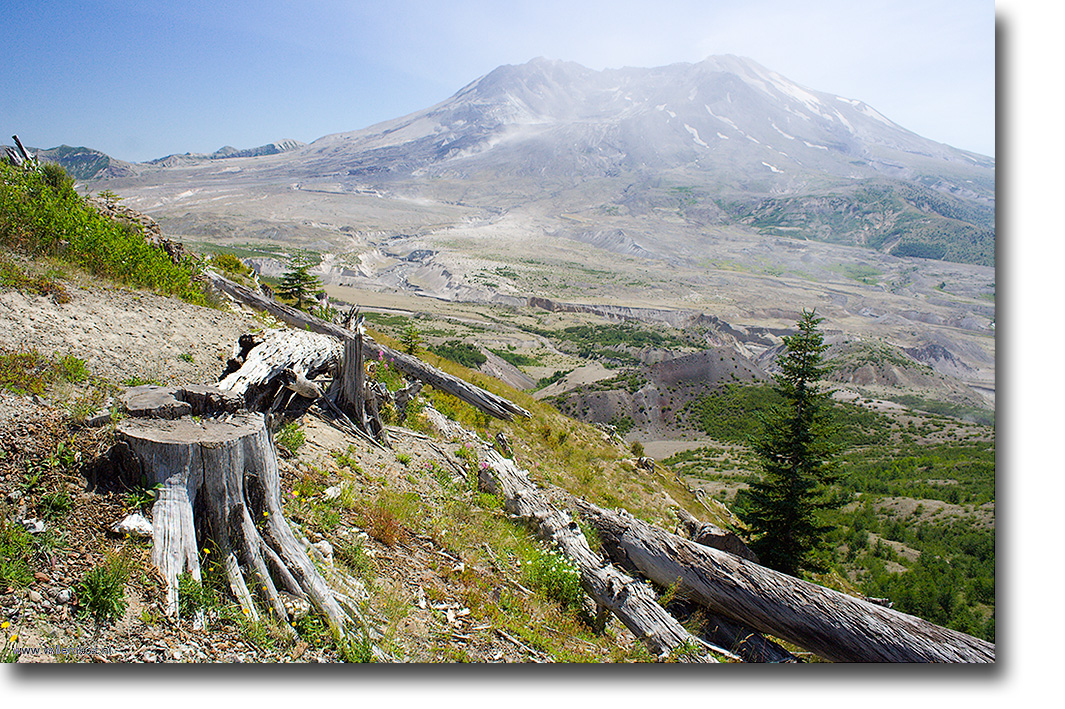 21. VS - Noord-West; Mount St. Helens /Willem Kox