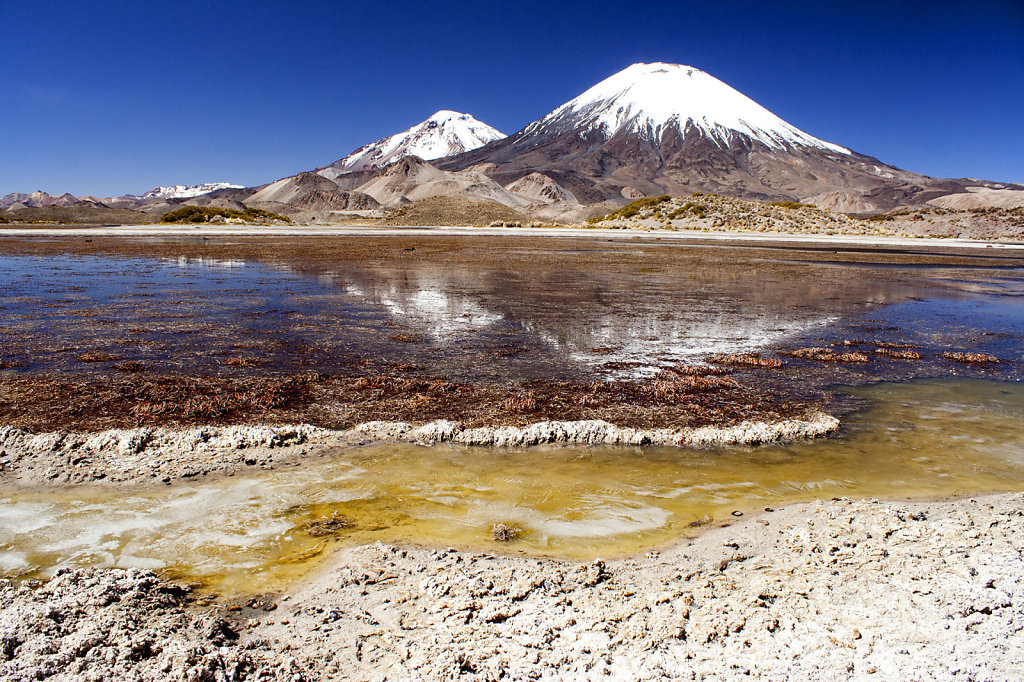 19. Chili Noord - Atacama. Meer van Chungara